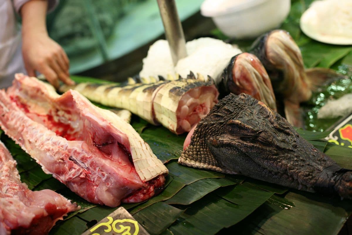 クロコダイル・ステーキ