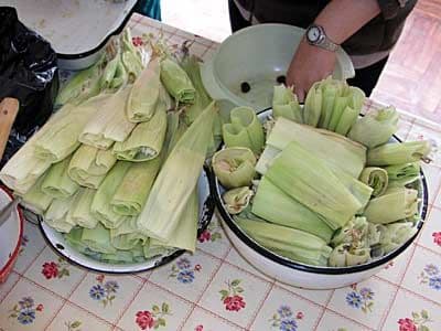 ウミータ（トウモロコシとチーズの蒸し包み）