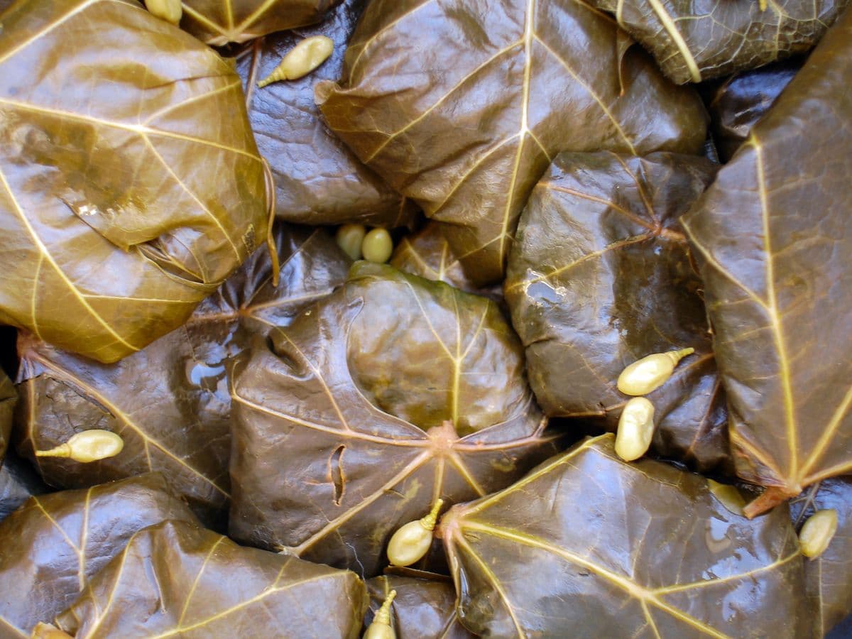 ドルメ・バルゲモ