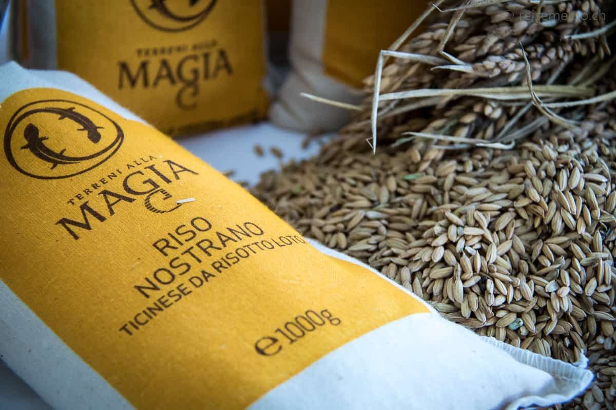 ティチーノ風リゾット