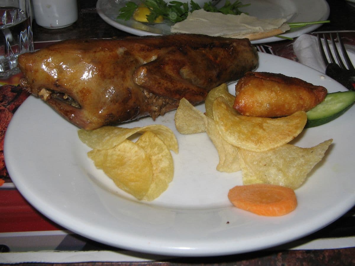 ハマーム・マフシー(ハトの詰め物焼き)