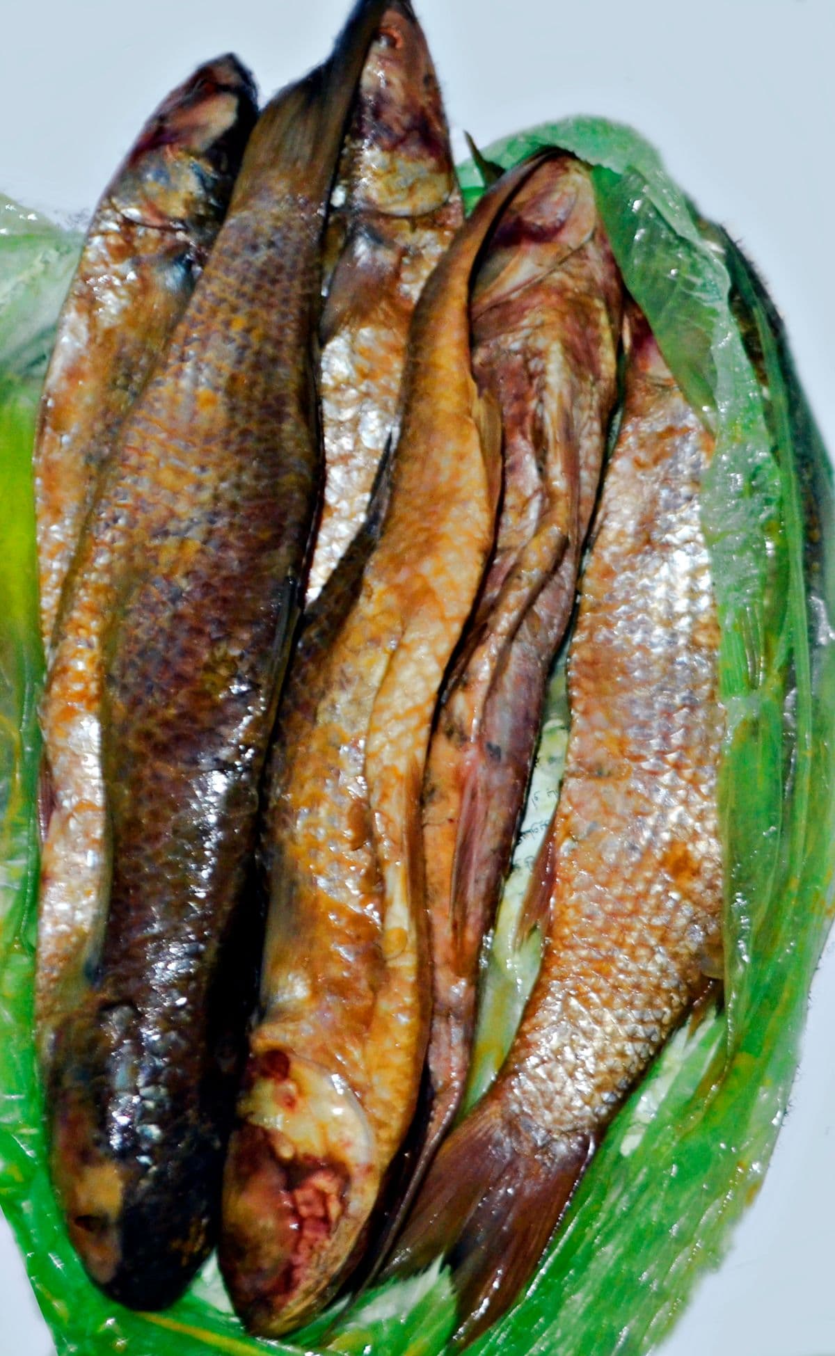 フィーシク(塩漬け発酵魚)