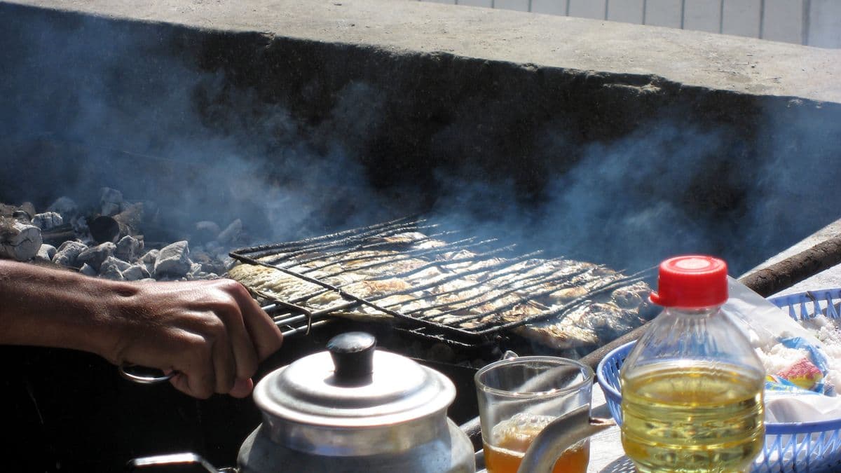 サーディン・グリエ