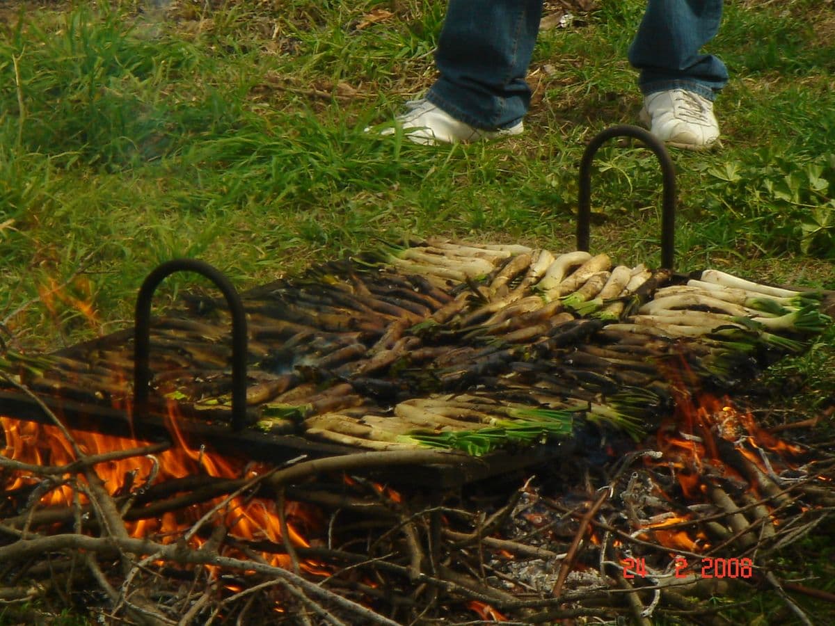 カルソッツ・コン・ロメスコ